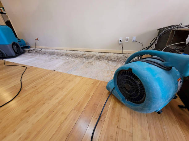 Professional Emergency Water Damage technician working in Augusta, OH